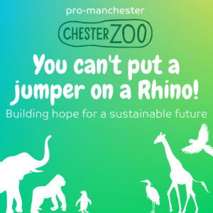 Chester Zoo member event (900 × 900 px) - pro-manchester